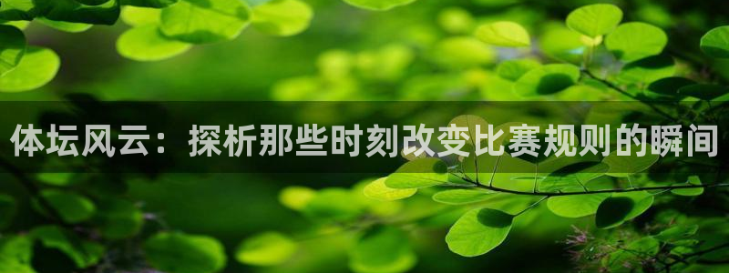 球派体育免费吗