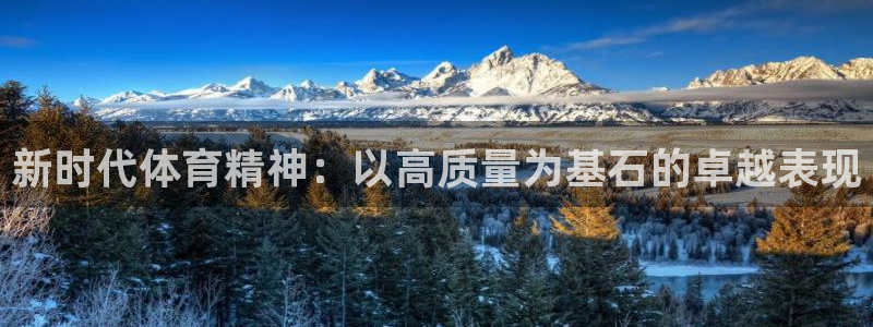 球派体育免费下载：新时代体育精神：以高质量为基石的卓越表现