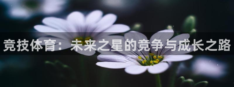 球派体育下载并安装