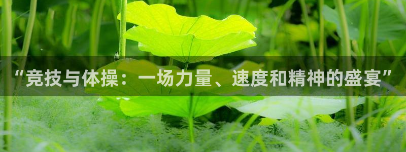 球派体育app改名叫什么了