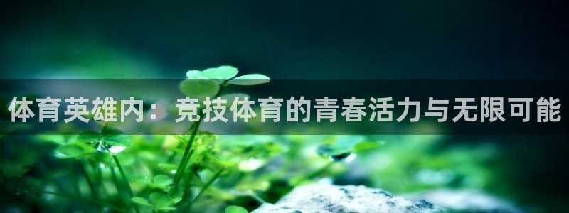 球派体育app正版下载