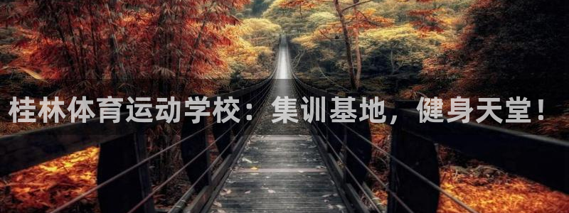 球派体育免费直播篮球NBA