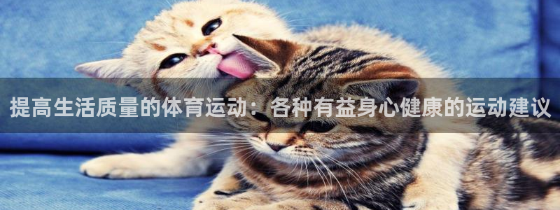 球派体育live