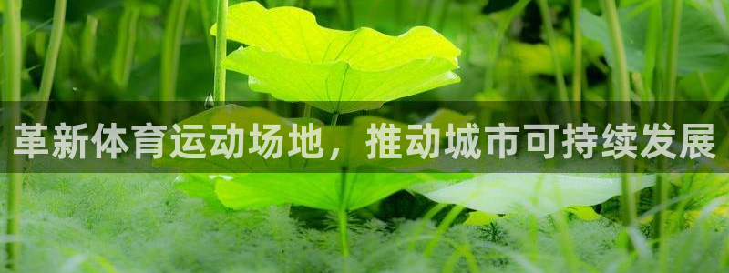 球派体育官方网站