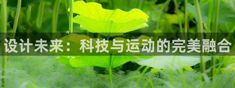 球派体育直播官网