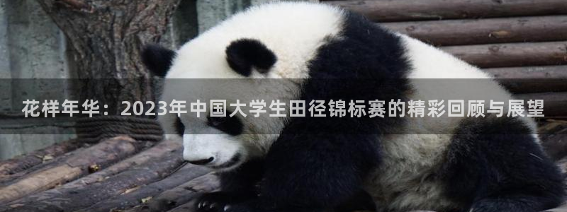 球派体育app旧版本