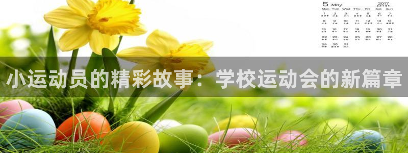球派体育有转播权么：小运动员的精彩故事：学校运动会的新篇章
