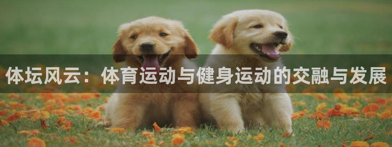 球派体育官方网站：体坛风云：体育运动与健身运动的交融与发展