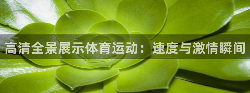 球派体育NBA直播下载