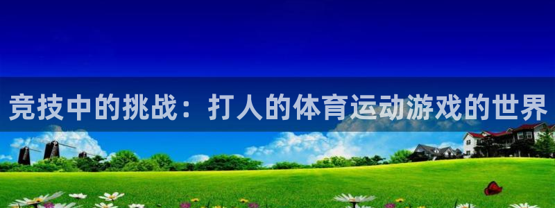 球派体育体育