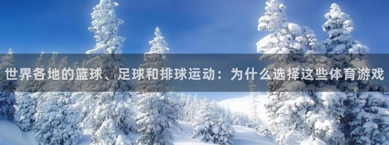 球派体育live